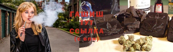молекула духа Пионерский