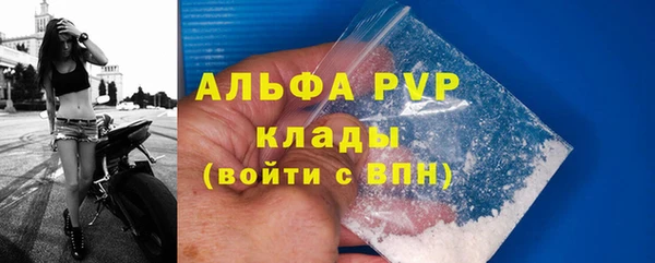индика Пикалёво