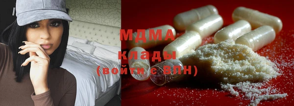 молекула духа Пионерский