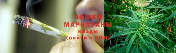 индика Пикалёво