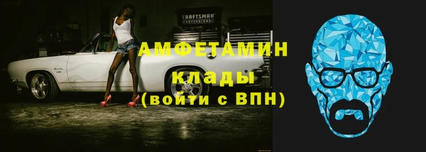 молекула духа Пионерский