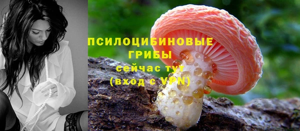 молекула духа Пионерский