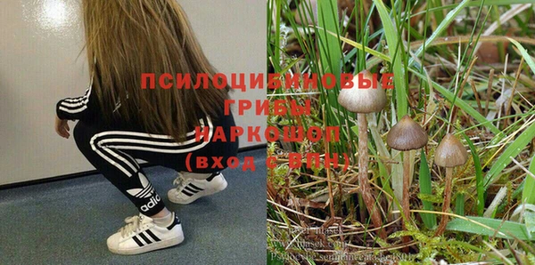 молекула духа Пионерский