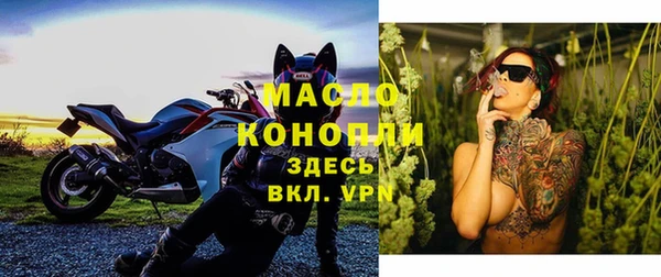 молекула духа Пионерский