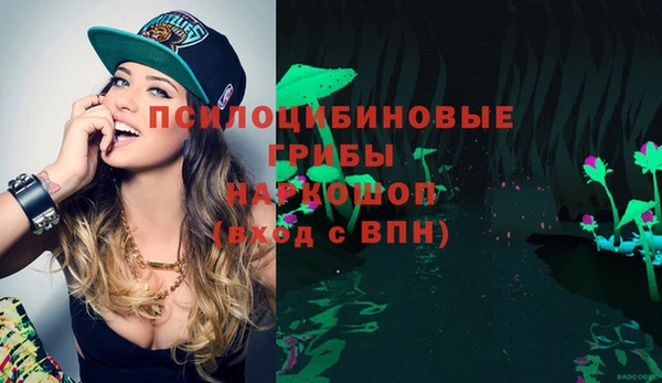 молекула духа Пионерский