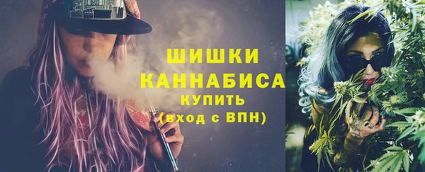 индика Пикалёво