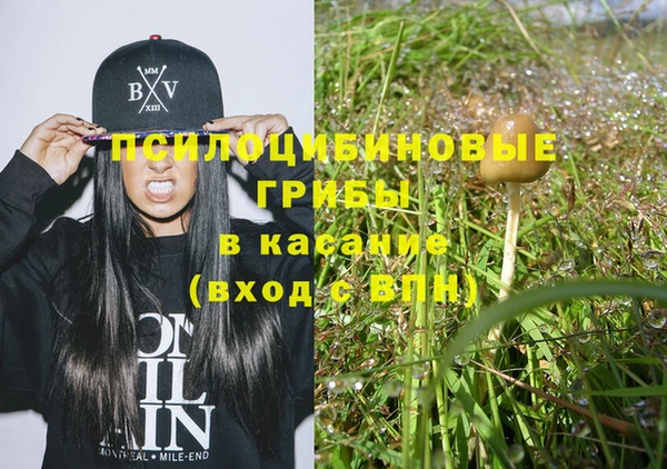 тгк Печоры