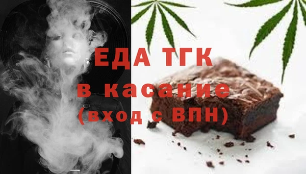 молекула духа Пионерский