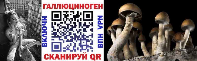 цены   Шахунья  Галлюциногенные грибы мицелий 