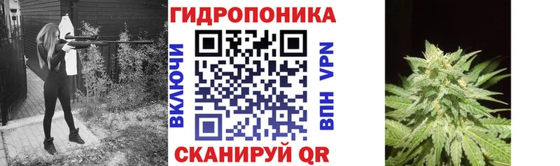 закладка  Шахунья  Бошки марихуана Bruce Banner 